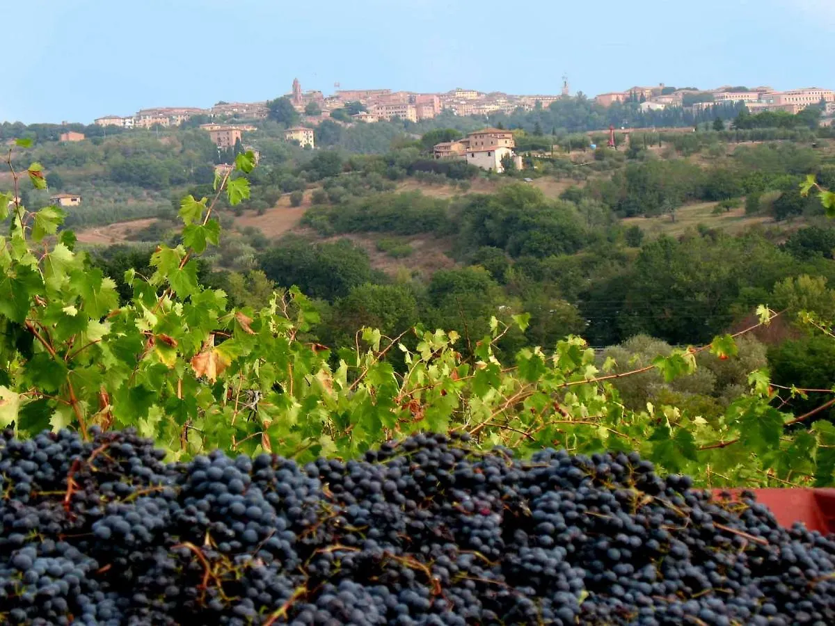 Agriturismo La Torretta - Apt 4Rooms With Pool Siena 0*,  Italy