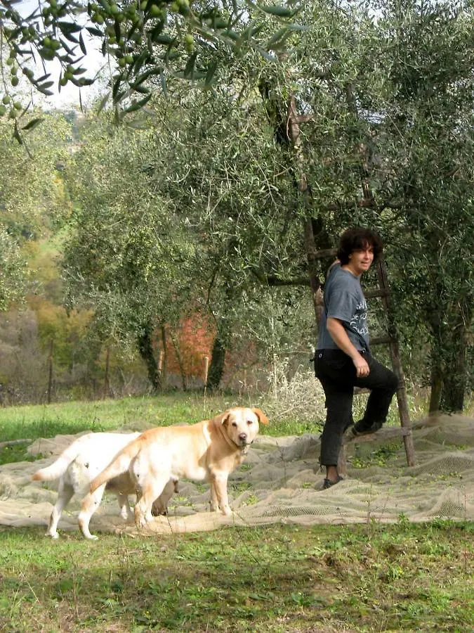 Agriturismo La Torretta - Apt 4Rooms With Pool Siena 0*,  Italy