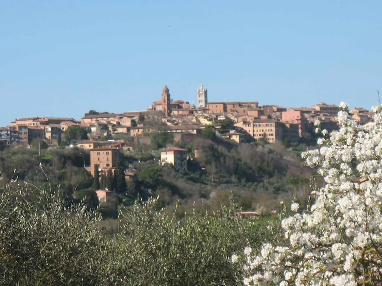 Apartment Agriturismo La Torretta - Apt 4Rooms With Pool Siena